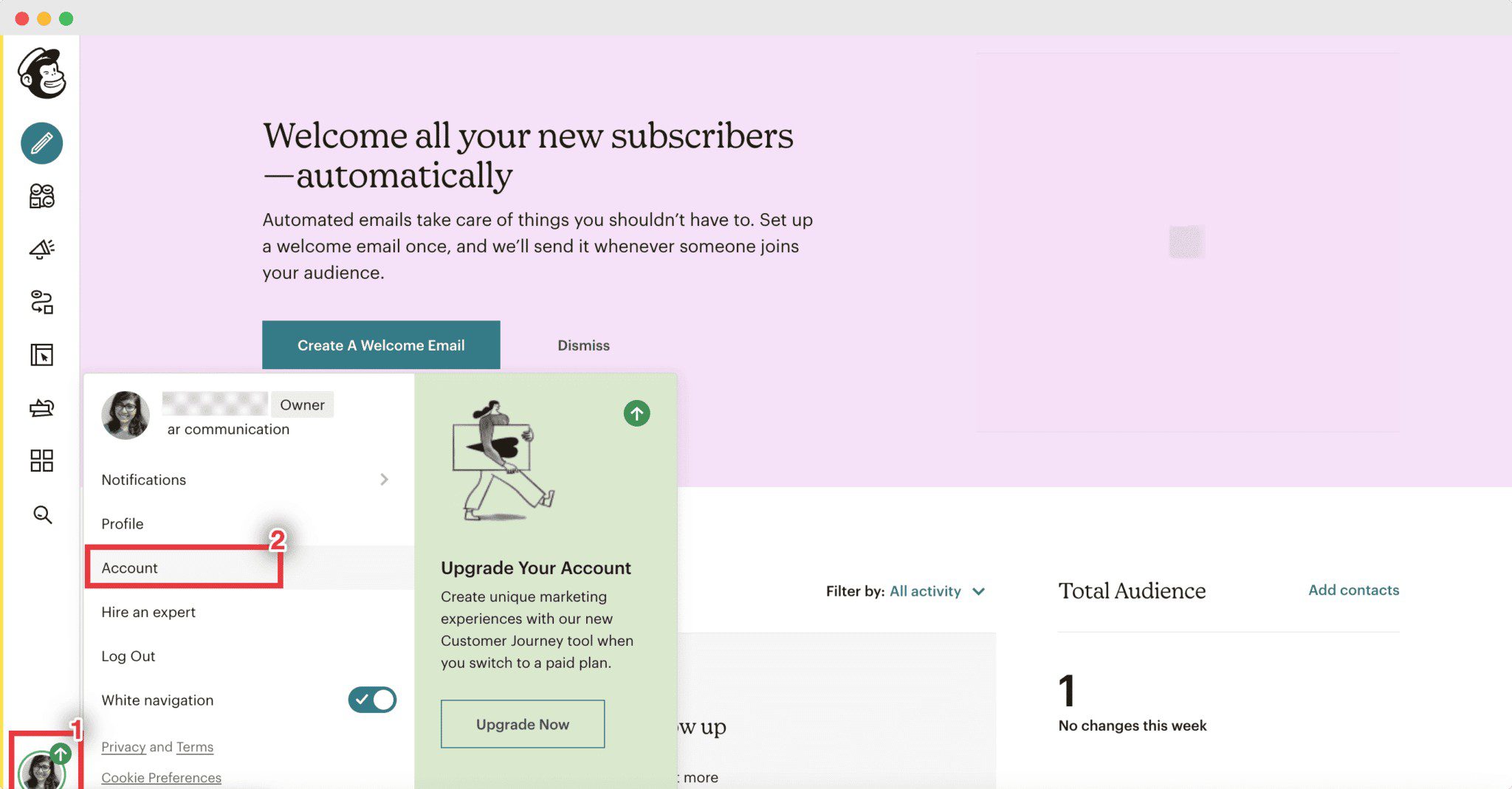 MailChimp widget Elementor